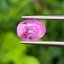 พลอย ชมพู พิ้ง แซฟไฟร์ Pink Sapphire 0.97 กะรัต (Cts.) พลอยแท้ อัญมณีมงคลประจําวันเกิด เครื่องประดับพลอย