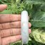 ๋J05C0039 หยก พม่า แท้ Jade กำไลหยก 54 มม. (Jade bracelet) พม่า (Myanmar)