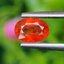 พลอย บุษราคัม Yellow Sapphire 1.15 กะรัต (Cts.) พลอยแท้ อัญมณีมงคลประจําวันเกิด เครื่องประดับพลอย