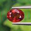 พลอย สเปสซาร์ไทต์ Spessartite Garnet 1.44 กะรัต Cts.พลอยแท้ อัญมณีมงคลประจําวันเกิด เครื่องประดับพลอย