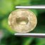 พลอย บุษราคัม yellow sapphire 2.65 กะรัต (Cts.) ดิบ พลอยแท้ อัญมณีมงคลประจําวันเกิด เครื่องประดับพลอย