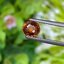 พลอย เพทาย (Zircon) 1.45 กะรัต (Cts.) พลอยแท้ อัญมณีมงคลประจําวันเกิด เครื่องประดับพลอย
