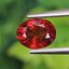 พลอย สเปสซาร์ไทต์ Spessartite Garnet 1.44 กะรัต Cts.พลอยแท้ อัญมณีมงคลประจําวันเกิด เครื่องประดับพลอย