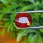 พลอย สเปสซาร์ไทต์ Spessartite Garnet 13.15 กะรัต (Cts.) พลอยแท้ อัญมณีมงคลประจําวันเกิด เครื่องประดับพลอย