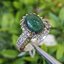 หยก พม่า แท้ Jade แหวนหยก (jadeite Ring) Size 60 ดิบ ไม่ผ่านการปรับปรุง (Type A) พม่า (Myanmar)