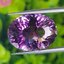 พลอย อเมทิส Amethyst 10.80 กะรัต (Cts.)