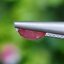 พลอย ทับทิม Ruby sapphire 1.23 กะรัต (Cts) ดิบ Unheated พร้อมใบเซอร์ พลอยแท้ อัญมณีมงคลประจําวันเกิด เครื่องประดับพลอย