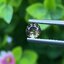 พลอย อเล็กซานไดร์ (Natural Alexandrite Chrysoberyl) เจ้าสามสี 0.44 กะรัต (Cts.) พร้อมใบเซอร์ พลอยแท้ อัญมณีมงคลประจําวันเกิด เครื่องประดับพลอย