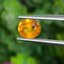 พลอย บุษราคัม Yellow Sapphire 1.28 กะรัต (Cts.) พลอยแท้ อัญมณีมงคลประจําวันเกิด เครื่องประดับพลอย