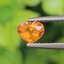 พลอย บุษราคัม yellow sapphire 0.80 กะรัต (Cts.) พลอยแท้ อัญมณีมงคลประจําวันเกิด เครื่องประดับพลอย