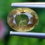 พลอย บุษราคัม Yellow Sapphire 1.38 กะรัต (Cts.) ดิบ Unheated พลอยแท้ อัญมณีมงคลประจําวันเกิด เครื่องประดับพลอย
