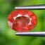 พลอย บุษราคัม Yellow Sapphire 1.63 กะรัต (Cts.) พลอยแท้ อัญมณีมงคลประจําวันเกิด เครื่องประดับพลอย