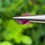 พลอย ชมพู พิ้ง แซฟไฟร์ Pink Sapphire 1.01 กะรัต (Cts.) พลอยแท้ อัญมณีมงคลประจําวันเกิด เครื่องประดับพลอย