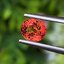 พลอย ออเรนจ์ แซฟไฟร์ Orange Sapphire 1.36 กะรัต (Cts.) พลอยแท้ อัญมณีมงคลประจําวันเกิด เครื่องประดับพลอย