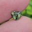 พลอย เขียวส่อง Green Sapphire 1.05 กะรัต (Cts.) พลอยแท้ อัญมณีมงคลประจําวันเกิด เครื่องประดับพลอย