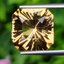 พลอย ซิทริน Citrine 8.07 กะรัต (Cts.) พลอยแท้ อัญมณีมงคลประจําวันเกิด เครื่องประดับพลอย