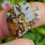 พลอย โบลเดอร์ โอปอล ออสเตรเลีย Australian Boulder Opal 14.3 กะรัต (Cts.) พลอยแท้ อัญมณีมงคลประจําวันเกิด เครื่องประดับพลอย
