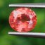 พลอย ออเรนจ์ แซฟไฟร์ Orange Sapphire 1.30 กะรัต (Cts.) พลอยแท้ อัญมณีมงคลประจําวันเกิด เครื่องประดับพลอย