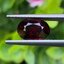 พลอย โรโดไลต์ กาเน็ท Rhodolite Garnet 2.79 กะรัต Cts.
