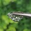 พลอย กรีน ทัวร์มารีน (Green Tourmaline) 11.72 กะรัต (Cts.) อัญมณีมงคลประจําวันเกิด เครื่องประดับพลอย