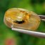 ไหมทอง ควอตซ์ Golden Rutilated Quartz 6.38 กะรัต Cts.พลอยแท้ อัญมณีมงคลประจําวันเกิด เครื่องประดับพลอย