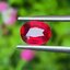 พลอย ทับทิม Ruby sapphire 1.72 กะรัต (Cts.) พลอยแท้ อัญมณีมงคลประจําวันเกิด เครื่องประดับพลอย