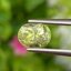 พลอย คริโซเบริล (Chrysoberyl) 1.24 กะรัต (Cts.) พลอยแท้ อัญมณีมงคลประจําวันเกิด เครื่องประดับพลอย