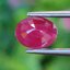 พลอย ทับทิม พม่า (Burmese Ruby Sapphire) 1.72 กะรัต พลอยแท้ อัญมณีมงคลประจําวันเกิด เครื่องประดับพลอย