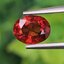 พลอย สเปสซาร์ไทต์ Spessartite Garnet 1.44 กะรัต Cts.พลอยแท้ อัญมณีมงคลประจําวันเกิด เครื่องประดับพลอย