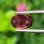 พลอย ทับทิม (Ruby Sapphire) 1.25 กะรัต (Cts.) พลอยแท้ อัญมณีมงคลประจําวันเกิด เครื่องประดับพลอย