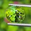 พลอย ทัวร์มาลีน Tourmaline 2.97 กะรัต (Cts.) พลอยแท้อัญมณีมงคล ประจําวันเกิด เครื่องประดับพลอย