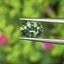 พลอย เขียวส่อง (Green Sapphire) 1.40กะรัต (Cts.) พลอยแท้ อัญมณีมงคลประจําวันเกิด เครื่องประดับพลอย