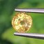 พลอย บุษราคัม Yellow Sapphire 0.76 กะรัต (Cts.) พลอยแท้ อัญมณีมงคลประจําวันเกิด เครื่องประดับพลอย