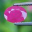 พลอย ทับทิม พม่า (Burmese Ruby Sapphire) 1.37 กะรัต พลอยแท้ อัญมณีมงคลประจําวันเกิด เครื่องประดับพลอย