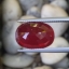 พลอย ทับทิม Ruby sapphire 12.50 กะรัต (Cts.) พลอยแท้ อัญมณีมงคลประจําวันเกิด เครื่องประดับพลอย