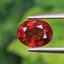 พลอย สเปสซาร์ไทต์ Spessartite Garnet 1.44 กะรัต Cts.พลอยแท้ อัญมณีมงคลประจําวันเกิด เครื่องประดับพลอย
