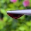 พลอย โรโดไลต์ กาเน็ท Rhodolite Garnet 2.77 กะรัต Cts.พลอยแท้ อัญมณีมงคลประจําวันเกิด เครื่องประดับพลอย