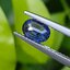 พลอย ไพลิน Blue Sapphire 0.67 กะรัต (Cts.) พลอยแท้ อัญมณีมงคลประจําวันเกิด เครื่องประดับพลอย
