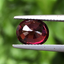 พลอย โรโดไลต์ กาเน็ท Rhodolite Garnet 3.16 กะรัต Cts. พร้อมใบเซอร์ พลอยแท้ อัญมณีมงคลประจําวันเกิด เครื่องประดับพลอย