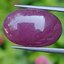 พลอย ทับทิม (Ruby Sapphire) 23.71 กะรัต (Cts.) ดิบ พลอยแท้ อัญมณีมงคลประจําวันเกิด เครื่องประดับพลอย