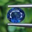 พลอย ไพลิน (Blue Sapphire) 0.96 กะรัต (Cts.) พลอยแท้ อัญมณีมงคลประจําวันเกิด เครื่องประดับพลอย