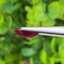 พลอย ทับทิม (Ruby Sapphire) 2.87 กะรัต (Cts.) พลอยแท้ อัญมณีมงคลประจําวันเกิด เครื่องประดับพลอย