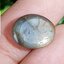 พลอย ไพลิน สตาร์ แซฟไฟร์ Blue Star Sapphire 9.89 กะรัต (Cts.) ดิบ Unheated พร้อมใบเซอร์ พลอยแท้ อัญมณีมงคลประจําวันเกิด เครื่องประดับพลอย