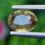 พลอย บุษราคัม Yellow Sapphire 1.38 กะรัต (Cts.) ดิบ Unheated พลอยแท้ อัญมณีมงคลประจําวันเกิด เครื่องประดับพลอย