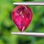พลอย ทับทิม (Ruby Sapphire) 2.45 กะรัต (Cts.) พลอยแท้ อัญมณีมงคลประจําวันเกิด เครื่องประดับพลอย