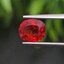 พลอย ทับทิม ซองเจีย Songea Ruby Sapphire 1.75 กะรัต (Cts.) พร้อมใบเซอร์ พลอยแท้ อัญมณีมงคลประจําวันเกิด เครื่องประดับพลอย