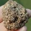 ก้อนผลึก ไพไรท์ Raw Rough Pyrite 58.0 กรัม (Grams) พลอยแท้ อัญมณีมงคลประจําวันเกิด เครื่องประดับพลอย