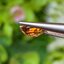 พลอย เพทาย (Zircon) 1.39 กะรัต (Cts.) พลอยแท้ อัญมณีมงคลประจําวันเกิด เครื่องประดับพลอย