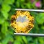 พลอย ซิทริน Citrine 9.43 กะรัต (Cts.) พลอยแท้ อัญมณีมงคลประจําวันเกิด เครื่องประดับพลอย
