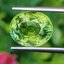 พลอย กรีน ทัวร์มารีน (Green Tourmaline) 6.80 กะรัต (Cts.) อัญมณีมงคลประจําวันเกิด เครื่องประดับพลอย